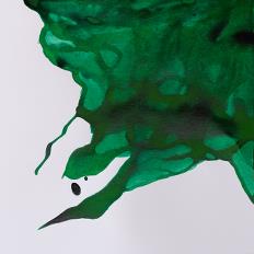 Winsor & Newton Drawing Inks - Emerald