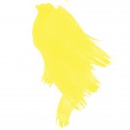 Daler Rowney FW Acylic Inks 29.5ml - Process Yellow