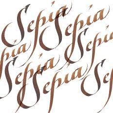 Winsor & Newton Calligraphy Inks 30ml - Sepia