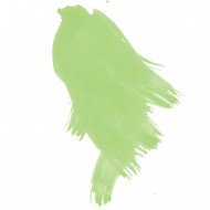 Daler Rowney FW Acrylic Inks 29.5ml - Light Green
