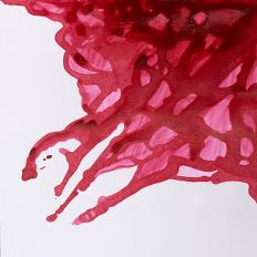 Winsor & Newton Drawing Inks - Deep Red