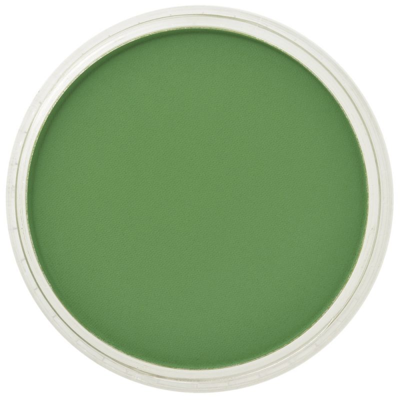 PanPastel Soft Pastel Pan - Chromium Oxide Green
